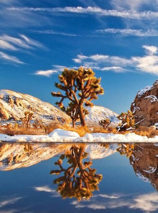 Azteca: Desert Sanctuary In The Paradise Of Palm Springs Villa Esterno foto